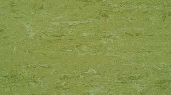 Линолеум Linodur Sport 1011 Avocado Green фото 1 | FLOORDEALER